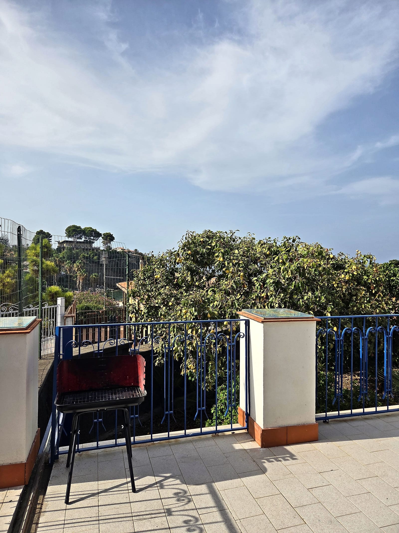 Il barbecue sulla terrazza, accanto alla ringhiera blu e agli alberi del giardino